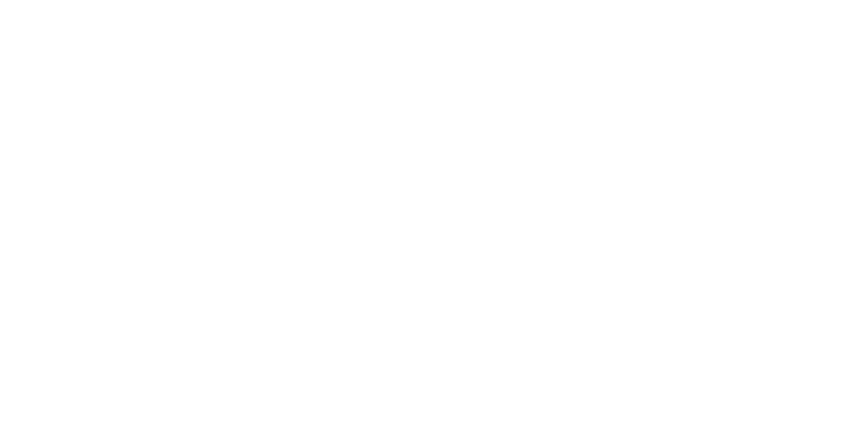 Maggi Logo